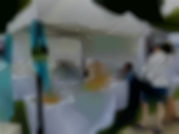 Gold Coast Artisan Fair