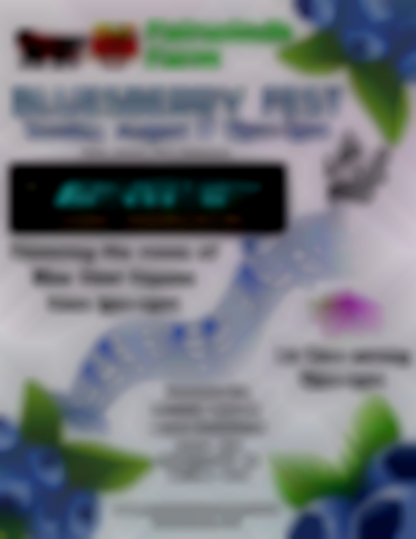 Bluesberry Fest