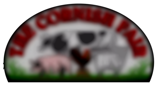 Cornish Fair