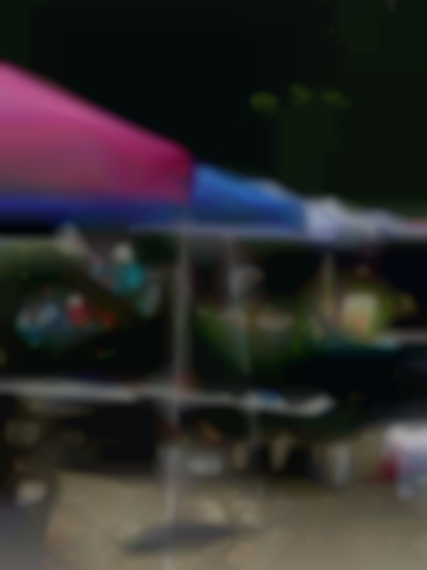 Summer Fun Flea Market - Arts & Crafts Fair (8717 Fort Hunt Road, Alexandria)