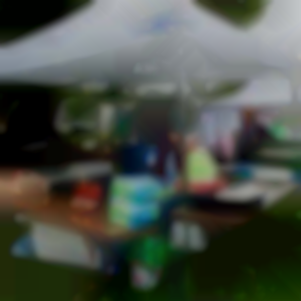 Leesport Area Community Days