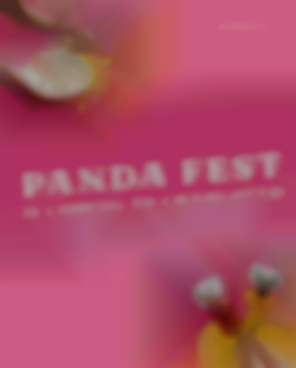 Celebrate AAPI Food, Culture, & More at Panda Fest Charlotte! 