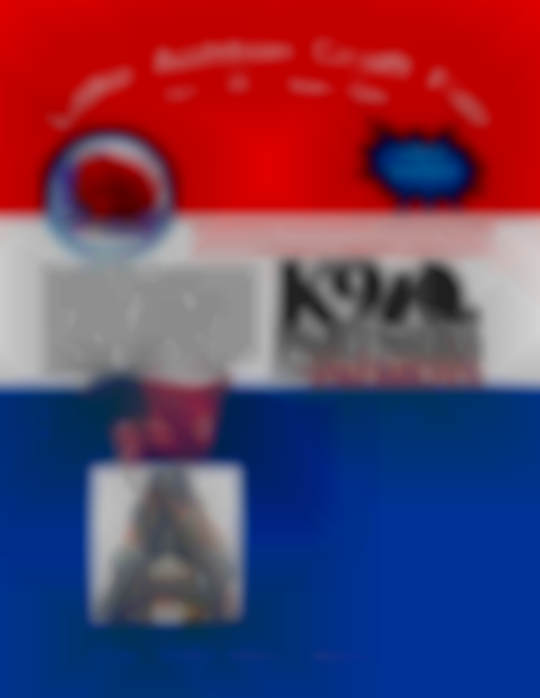 Lake Ashton Veterans Association Auxiliary Annual Craft Fair