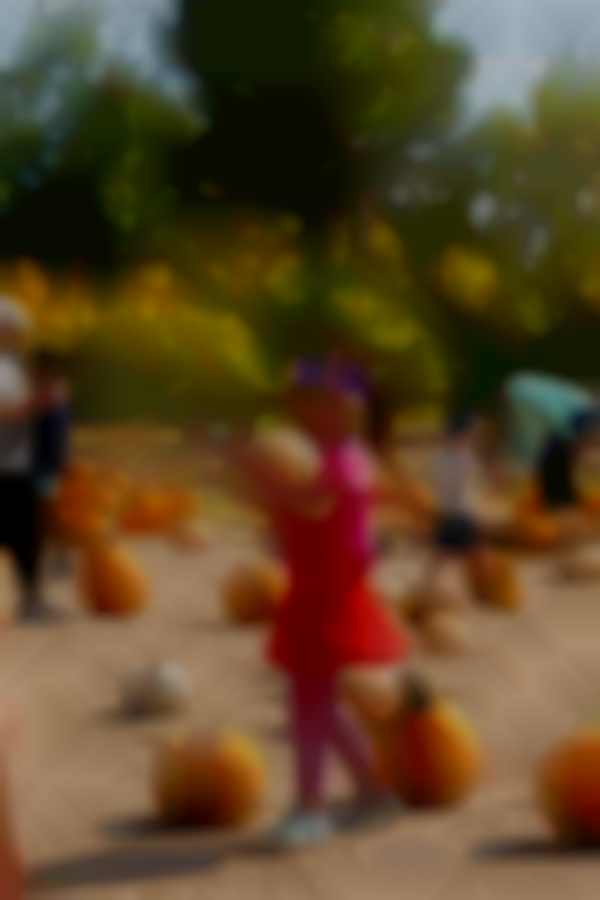 Pumpkin Harvest Festival