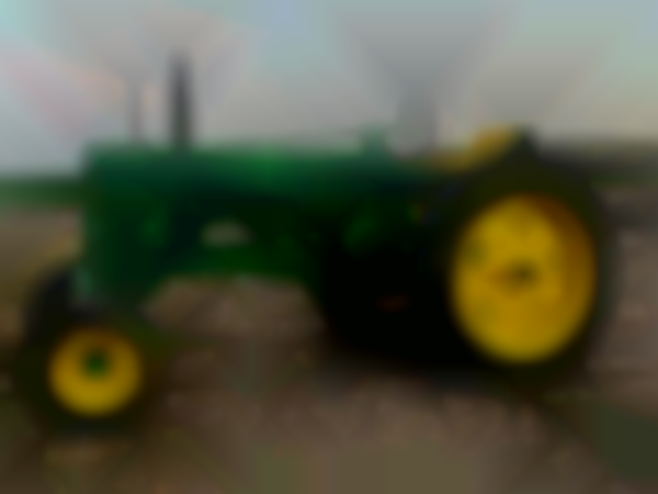 Fall Festival & Auction