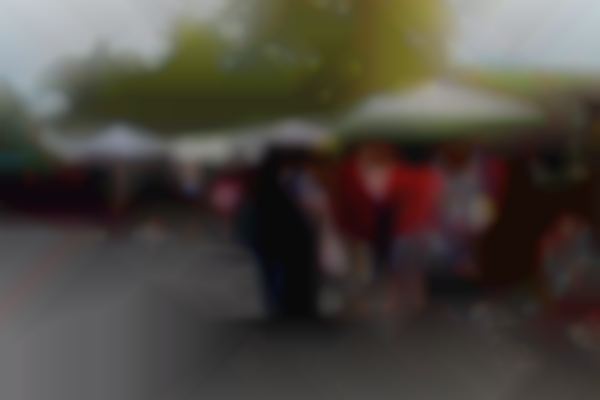 Melrose Vintage Market - Flagship Market in The Melrose Dist. | October 19