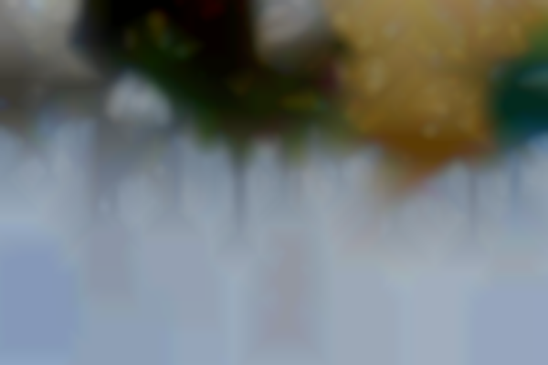 Holiday Fair