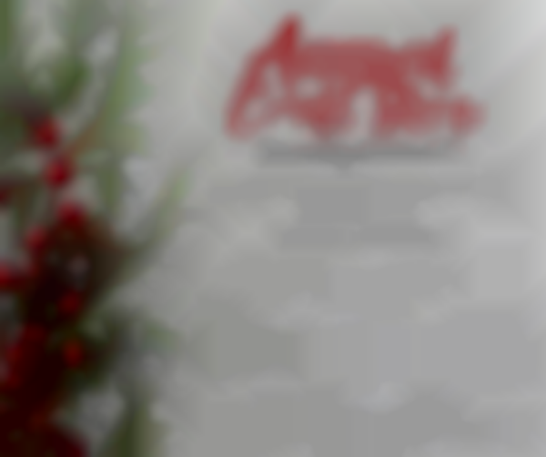 Annual Holiday Craft Show