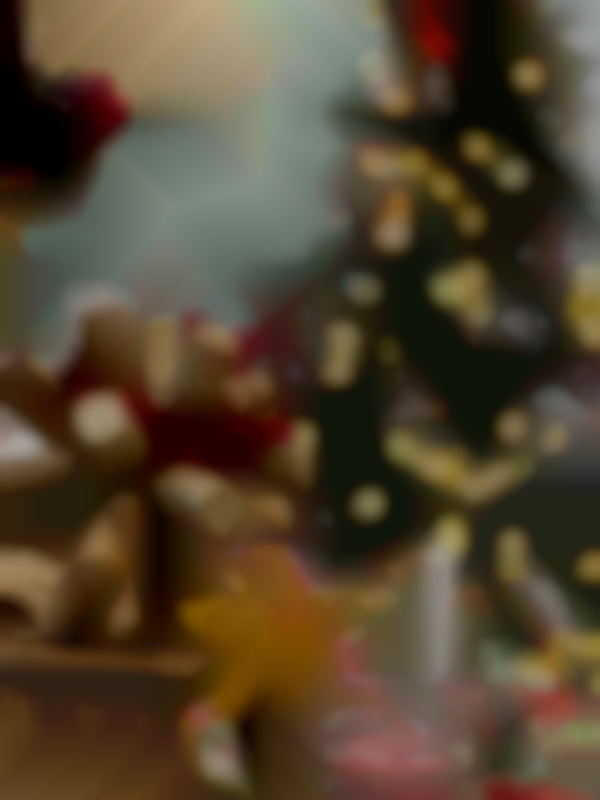 Holly Berry Bazaar