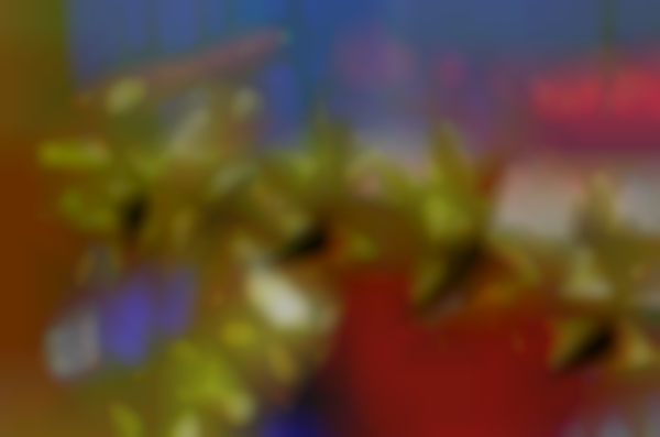 Annual Danish Christmas Bazaar 