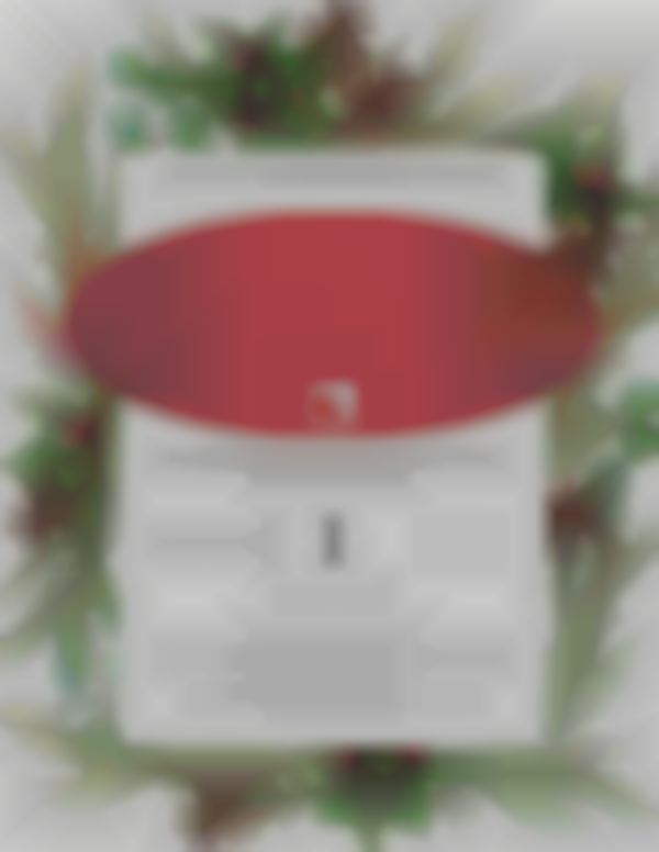 31st Annual Holiday Craft Show- Schuylkill Technology Center- North Campus