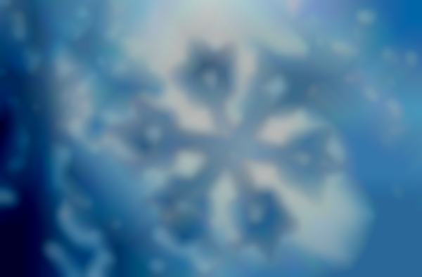 The 30th Annual Snowflake Fair!
