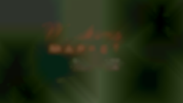 Metro Area Makers Market in Edwardsville City Park