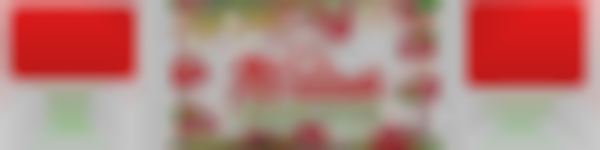 Ali'iolani Craft Fair