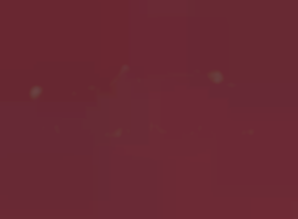 The Village Club Holiday Boutique and Luncheon