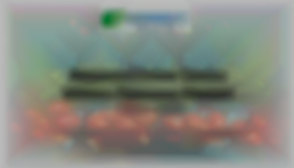 Indoor Winter Farmer's Market 