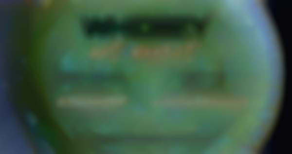 Whidbey Art Market Holiday Show & Sale