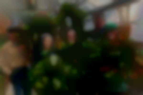 Arboretum Holiday Sale