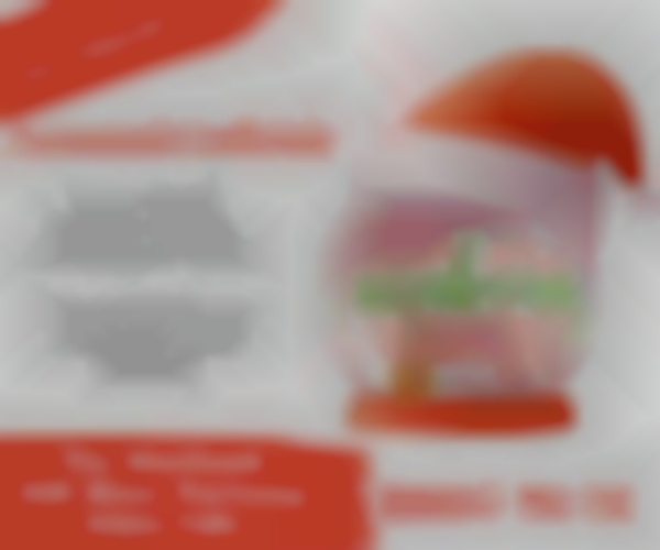 MERRY MAKERS MARKET 2025