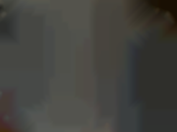 Athens Community Garden Club Holiday Luncheon and Auction