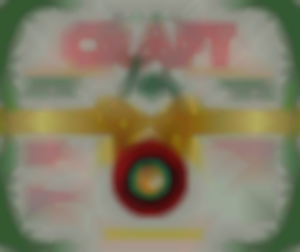 H.O.M.E. Craft Fair at First Congregational Church! 