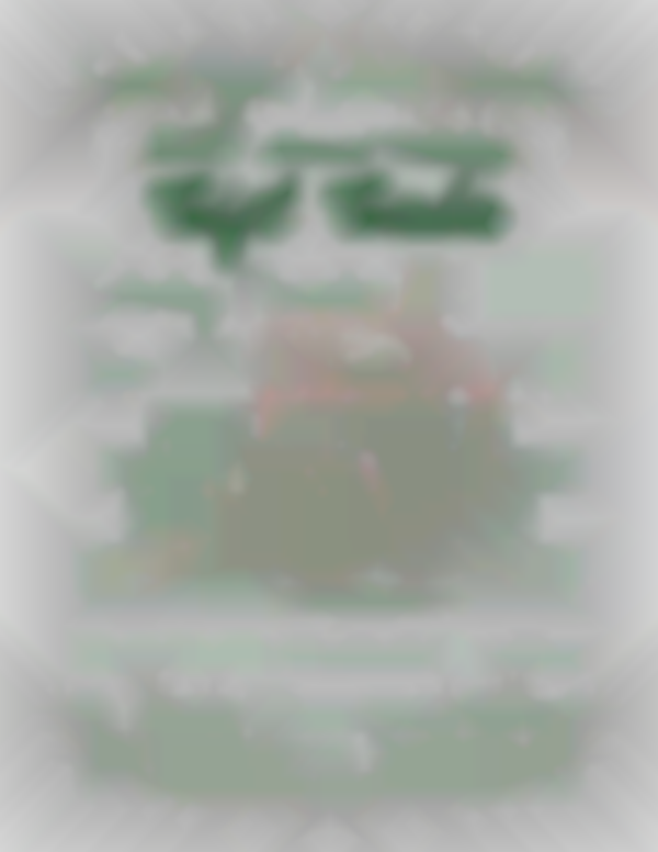 St. Agnes Holiday Gift Gala