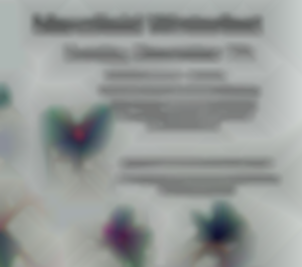 Mansfield Winterfest 