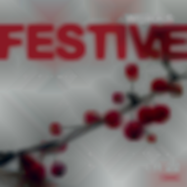 FESTIVE market @ Greylock WORKS