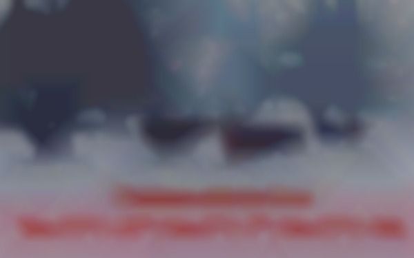 Christmas with the Cows: German Inspired Christmas Market