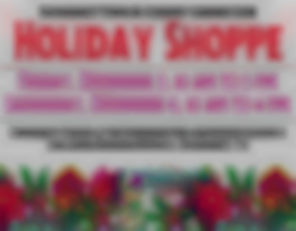 Haymarket Town and Country Garden Club Holiday Shoppe