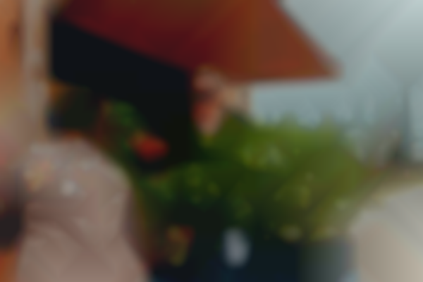 Harvest Green Market to ‘Turn-ip’ Holiday Spirit Nov. 25