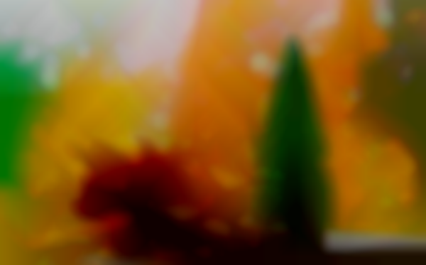 Annual Fall/Christmas Bazaar