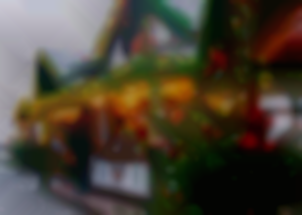 Christmas Market at Guini Ridge Farm