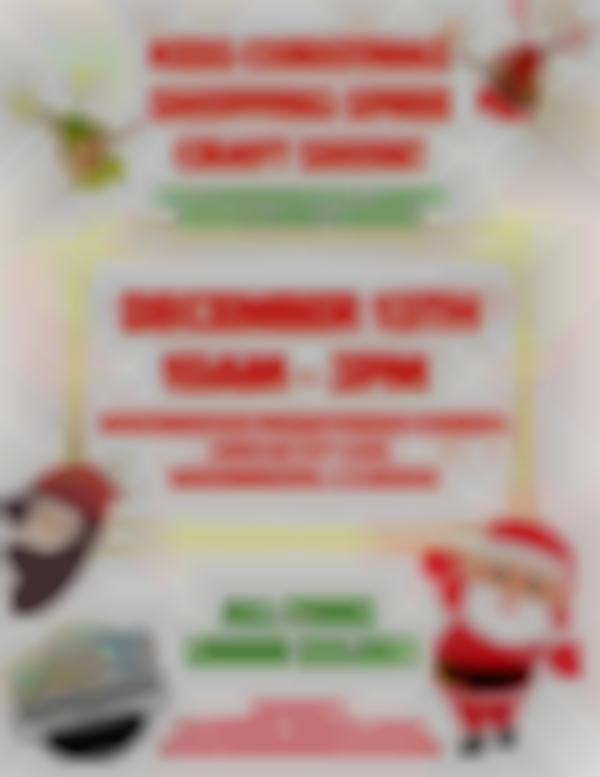 Kids Christmas Shopping Spree