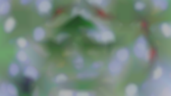 Conifer Historical Society Holiday Gift Fair