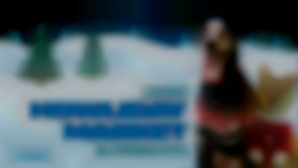 Richmond SPCA Howliday Market and Photos