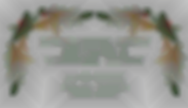 Edgecomb Eddy Artisan and Vendor Show 