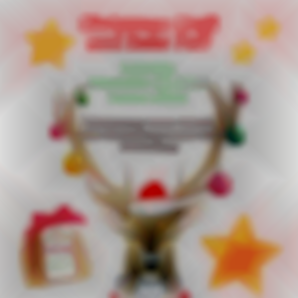 Christmas Craft fair and bake sale