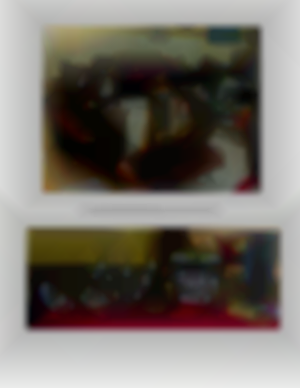 Frazeysburg Lions 29th Holiday Bazaar