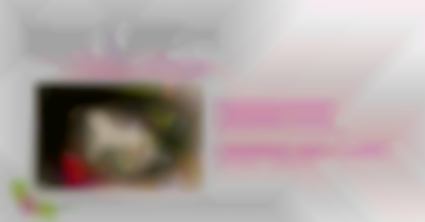 Lady Grey's 10TH Annual Holiday Boutique