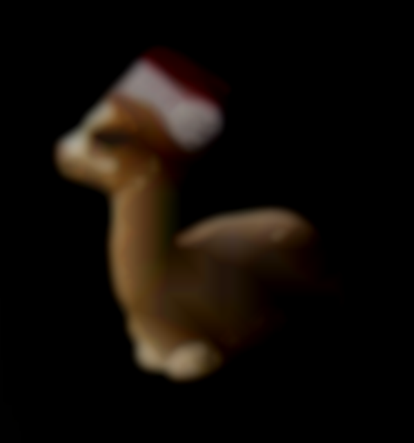 Local Alpaca Farm Offers Holiday Shopping