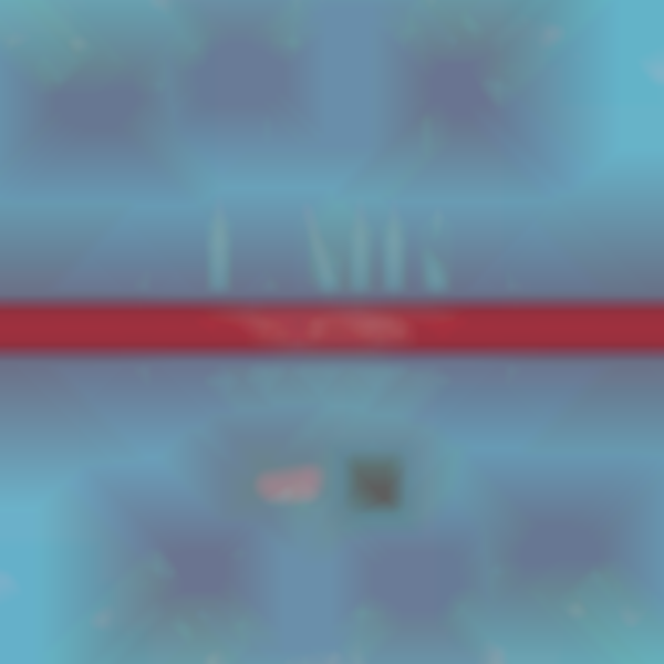 The Mount Rainier Craft Fair