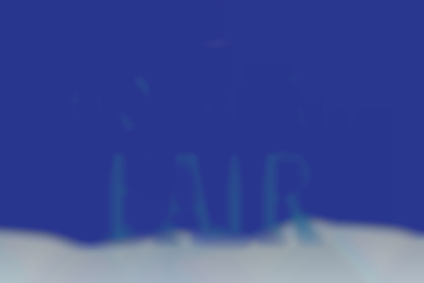 Chicago Waldorf School Holiday Fair