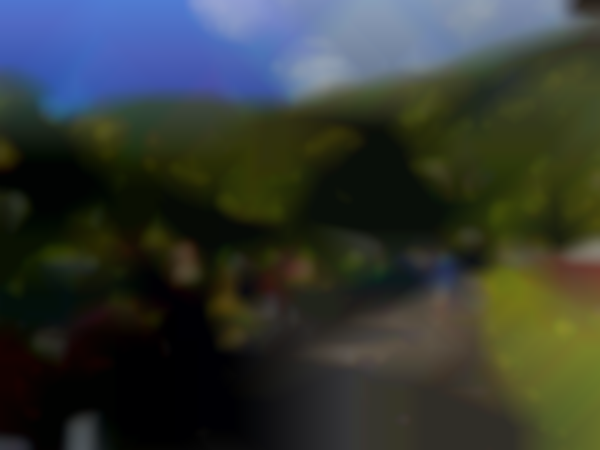 Lyon Arboretum Fall Plant and Craft Sale