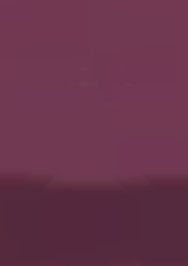 Ladies Night Our Vendors/Crafts