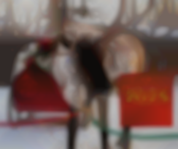 AK Christkindlmarkt 2025