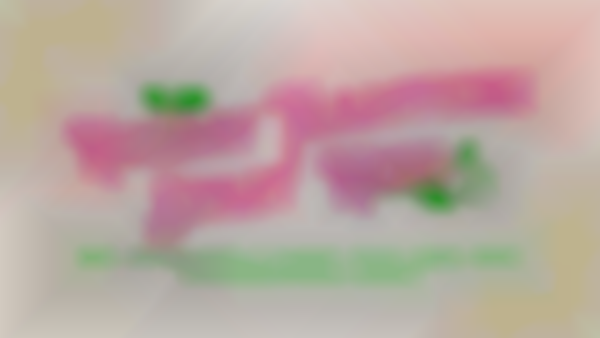 Ottawa Kris Kringle Market - Nov. 28 - Dec. 21