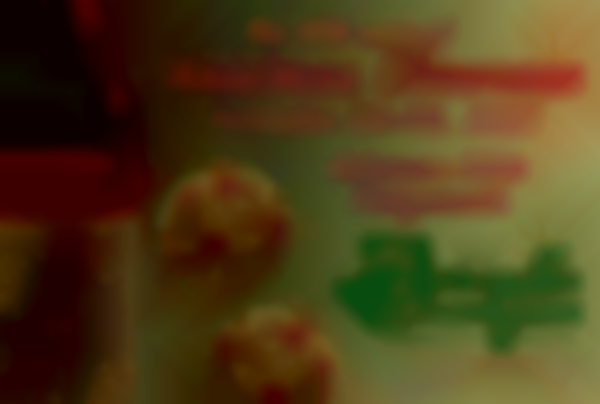 Arkansas Craft Guild’s 47th Annual Christmas Showcase