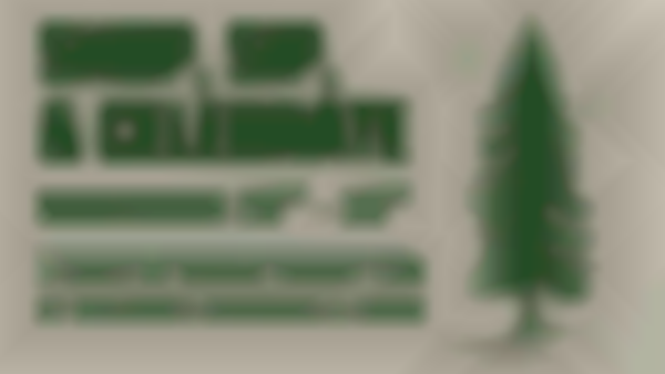 Shop, Sip & Celebrate: Black Friday Weekend at Wilson's Orchard & Farm