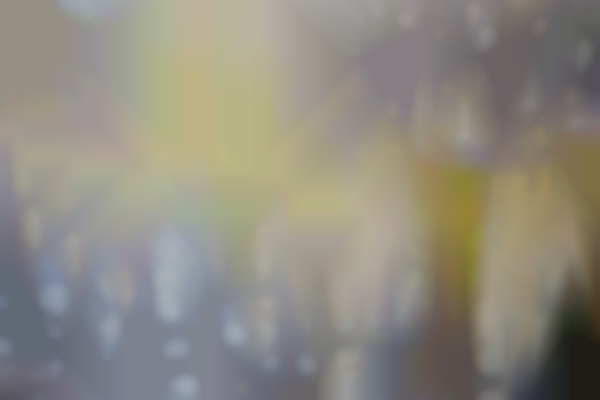 Sip, Shop & Set Sail 